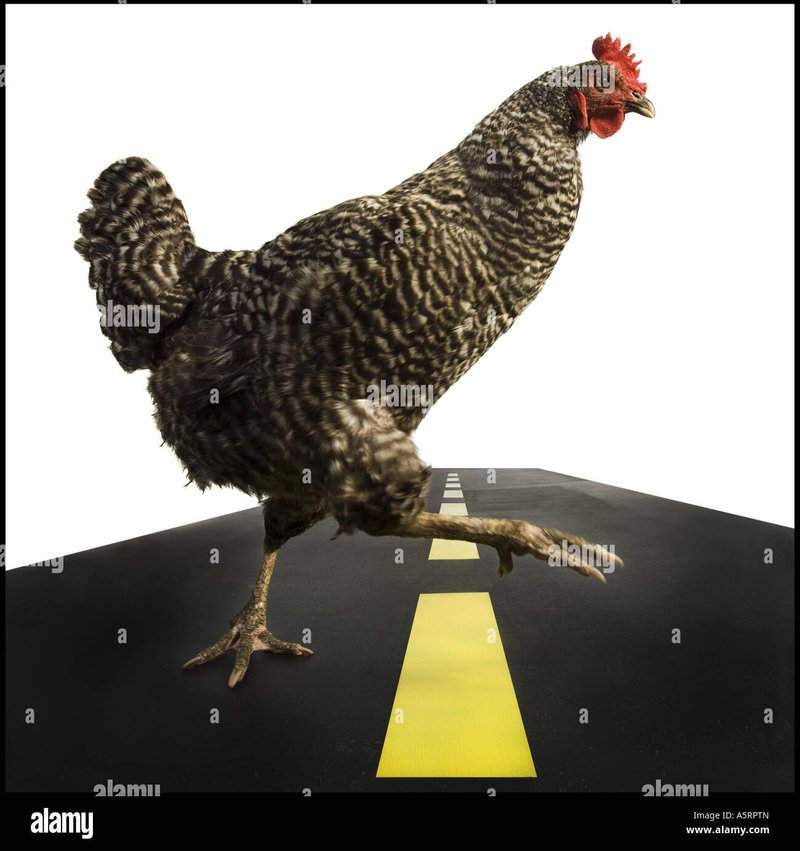 Descubre el Encanto de Chicken Road Casino en España
